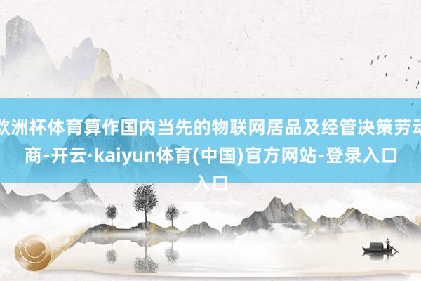 欧洲杯体育算作国内当先的物联网居品及经管决策劳动商-开云·kaiyun体育(中国)官方网站-登录入口