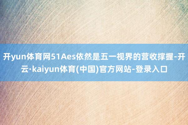开yun体育网51Aes依然是五一视界的营收撑握-开云·kaiyun体育(中国)官方网站-登录入口