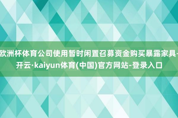 欧洲杯体育公司使用暂时闲置召募资金购买暴露家具-开云·kaiyun体育(中国)官方网站-登录入口