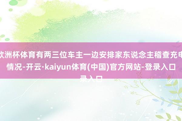 欧洲杯体育有两三位车主一边安排家东说念主稽查充电情况-开云·kaiyun体育(中国)官方网站-登录入口