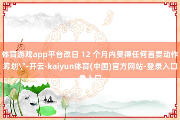 体育游戏app平台改日 12 个月内莫得任何首要动作筹划