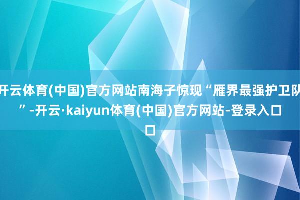 开云体育(中国)官方网站南海子惊现“雁界最强护卫队”-开云·kaiyun体育(中国)官方网站-登录入口