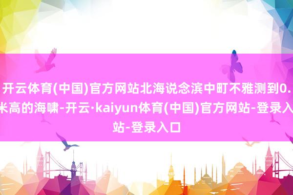 开云体育(中国)官方网站北海说念滨中町不雅测到0.6米高的海啸-开云·kaiyun体育(中国)官方网站-登录入口