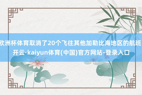 欧洲杯体育取消了20个飞往其他加勒比海地区的航班-开云·kaiyun体育(中国)官方网站-登录入口