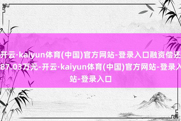 开云·kaiyun体育(中国)官方网站-登录入口融资偿还7587.03万元-开云·kaiyun体育(中国)官方网站-登录入口