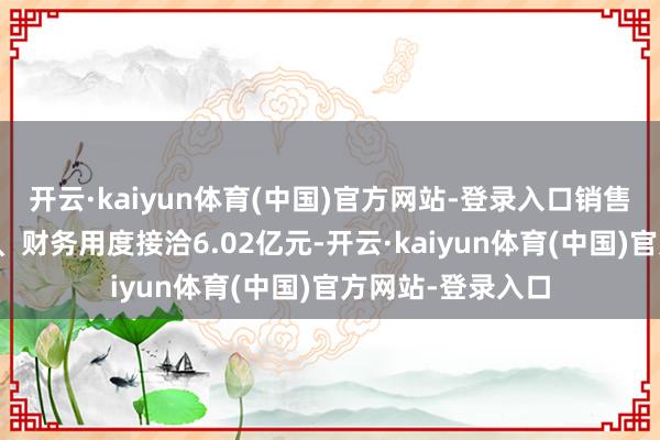 开云·kaiyun体育(中国)官方网站-登录入口销售用度、科罚用度、财务用度接洽6.02亿元-开云·kaiyun体育(中国)官方网站-登录入口